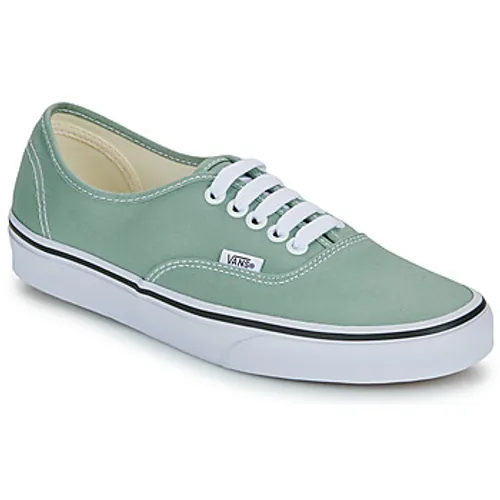 Vans  Authentic  women's Shoes (Trainers) in Green