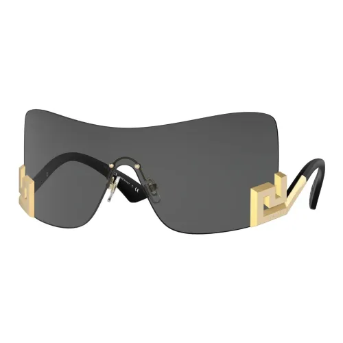 Versace , Gold Grey Sunglasses ,Multicolor female, Sizes: