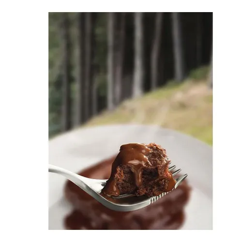 Wayfayrer Chocolate Pudding & Sauce 