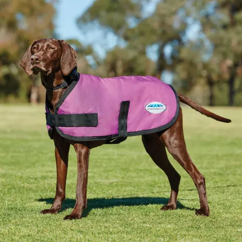 Weatherbeeta Comfitec Classic Dog Coat - Pink, Pink