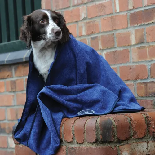 Weatherbeeta Small Dog Towel Blue, BLU