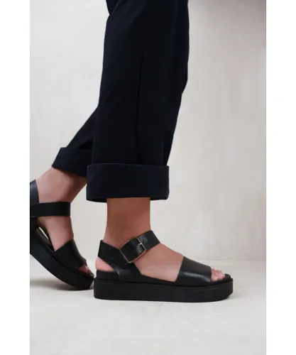 Where's That From Womens 'Phoenix' Classic Flat Sandals With Strap And Buckle Detail - Black