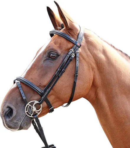 Whitaker BR077 John Barton Flash Leather Bridle with Rubber