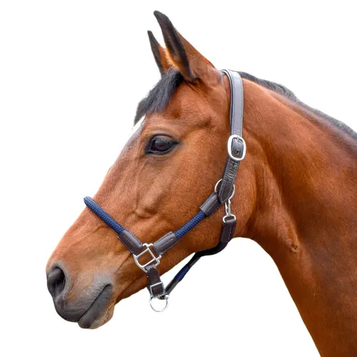 Whitaker Raywell leather and rope headcollar