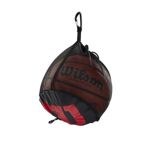 Wilson Basketball Net