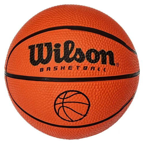 Wilson Mic Basketball ball