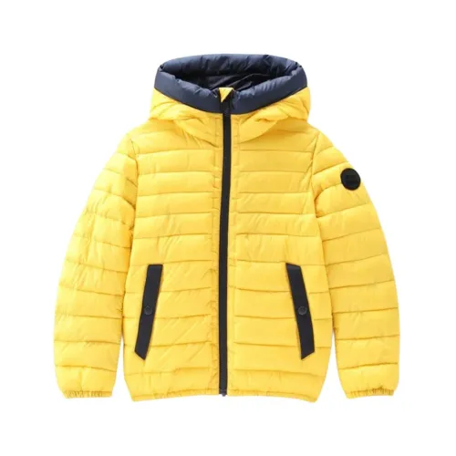 Woolrich , Winter Jacket, Sundance ,Yellow male, Sizes: