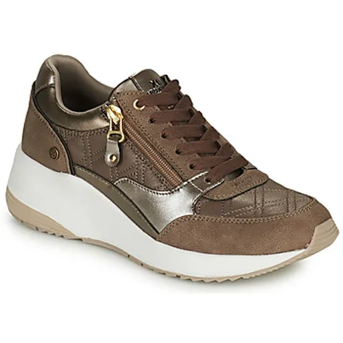 Xti  -  women's Shoes (Trainers) in Brown