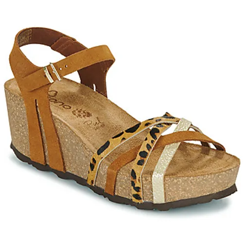 YOKONO  BARI  women's Sandals in Brown
