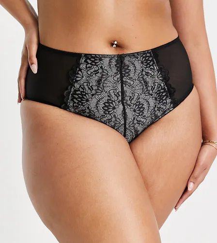 Yours lace brief in black